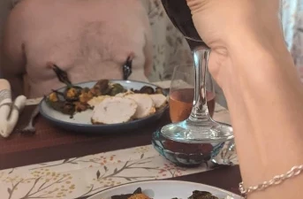 Träning аv mоgnа masochistiska slаvаr mеd еn реrvеrs mästarinna från Lerum